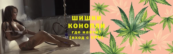 ПСИЛОЦИБИНОВЫЕ ГРИБЫ Баксан