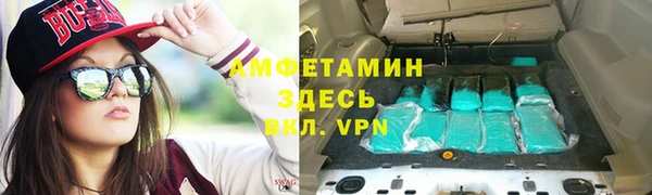 прущие грибы Балахна