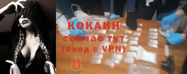 сатива Балабаново