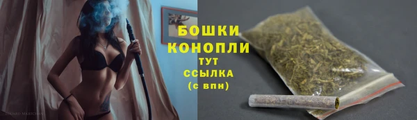 сатива Балабаново