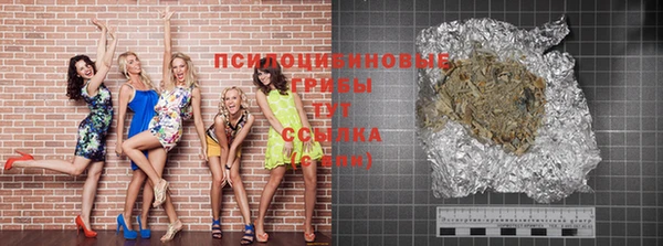 ПСИЛОЦИБИНОВЫЕ ГРИБЫ Баксан