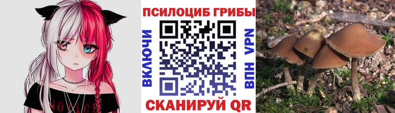 кракен зеркало  Котельниково  Галлюциногенные грибы мухоморы 